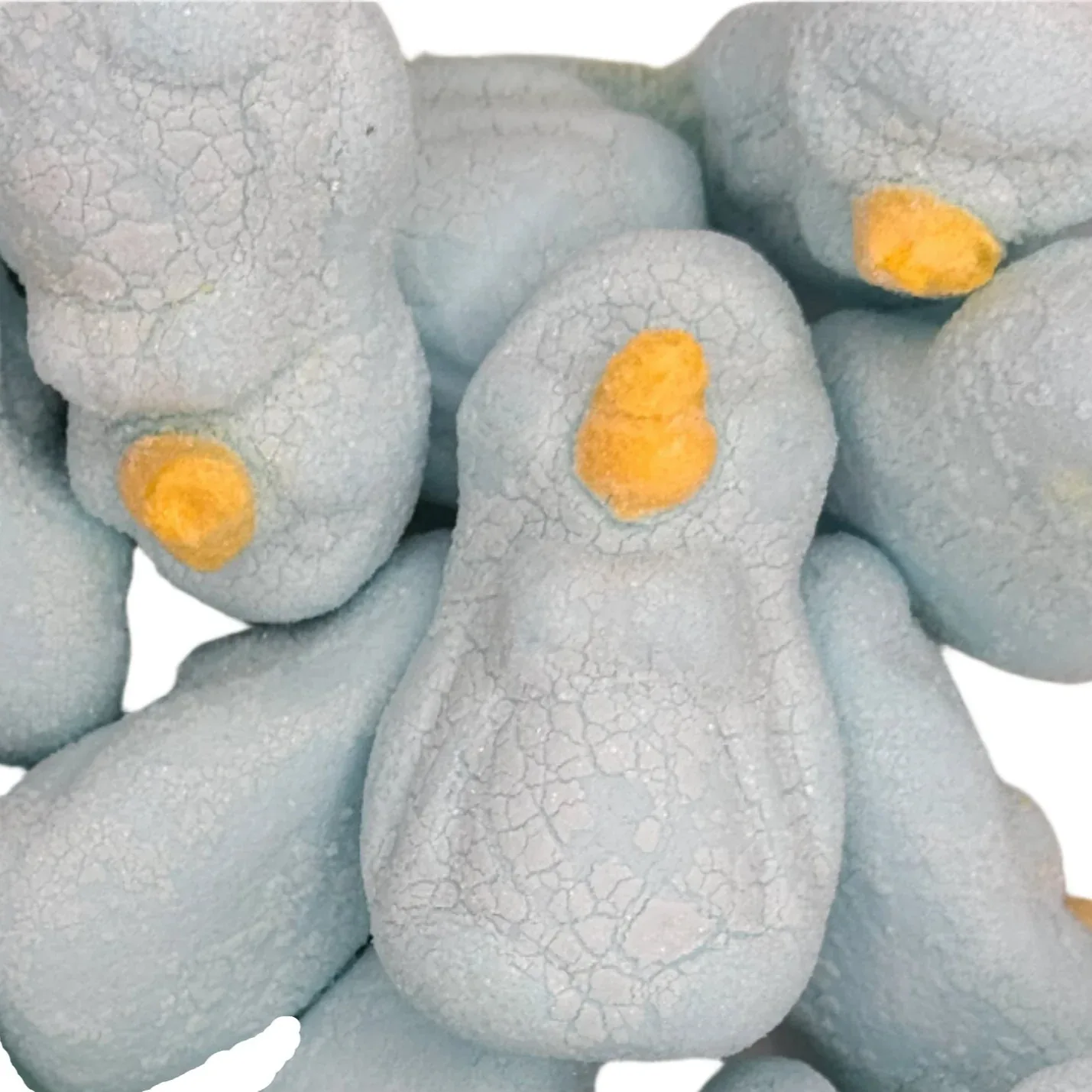 Freeze Dried Marshmallow Penguins Candy Mallows - Image 3
